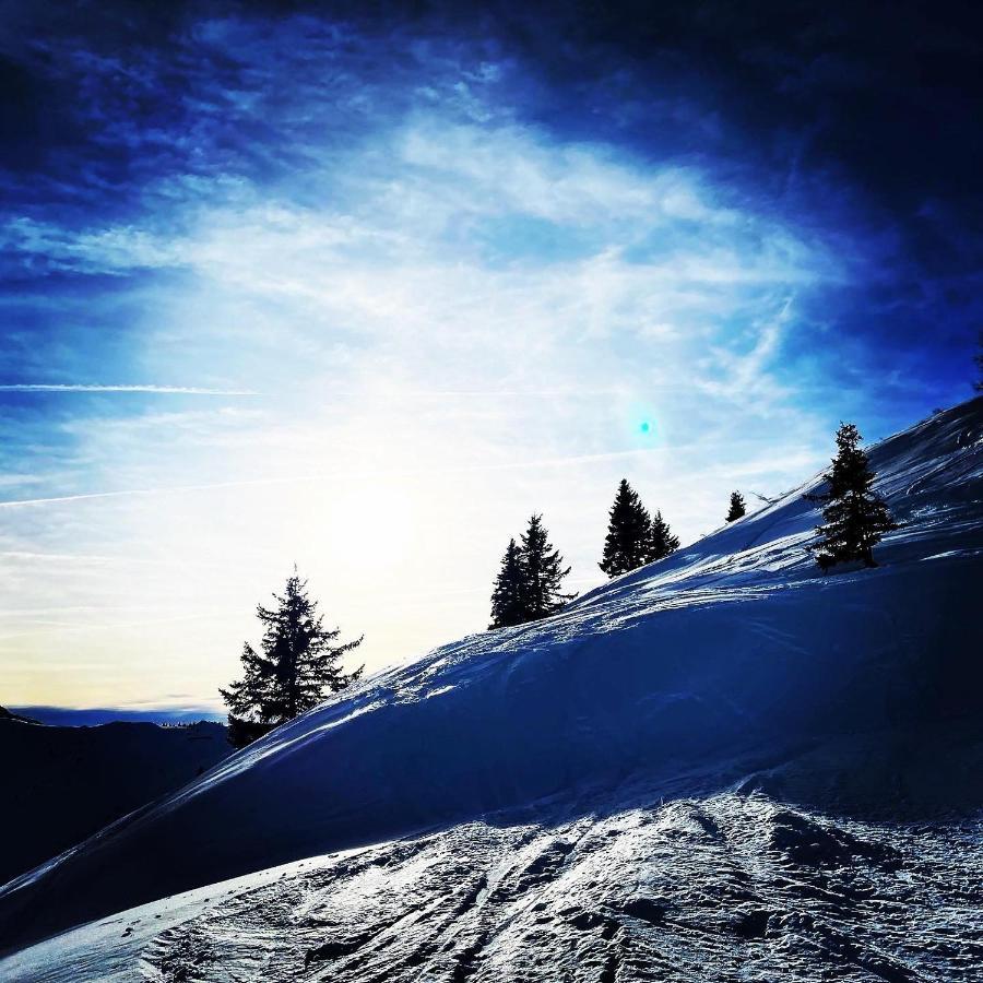 Chalet Franzi Dorfgastein Buitenkant foto