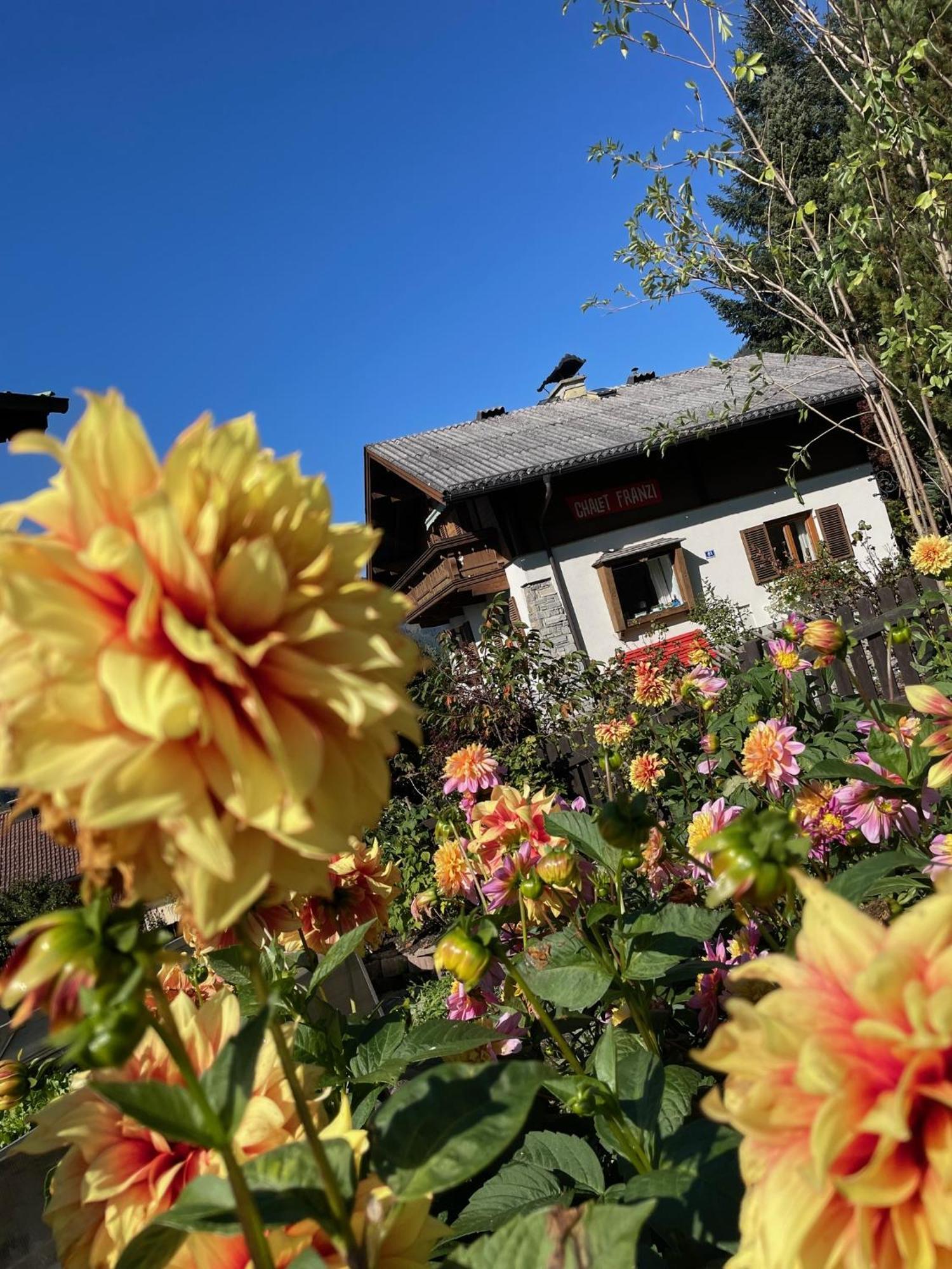 Chalet Franzi Dorfgastein Buitenkant foto